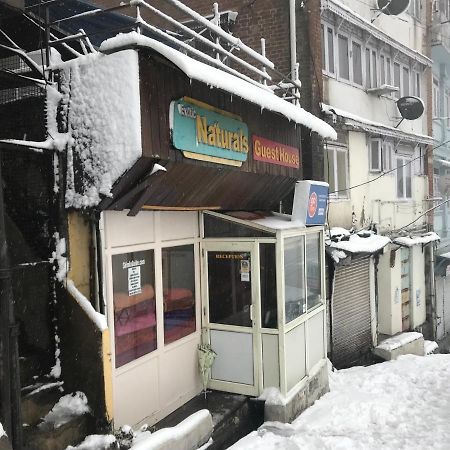 Exotic Naturals Guest House Shimla Buitenkant foto