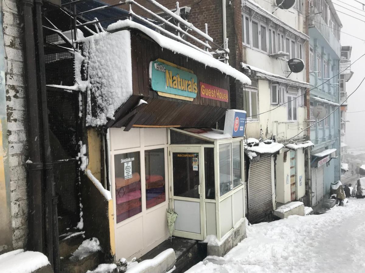 Exotic Naturals Guest House Shimla Buitenkant foto